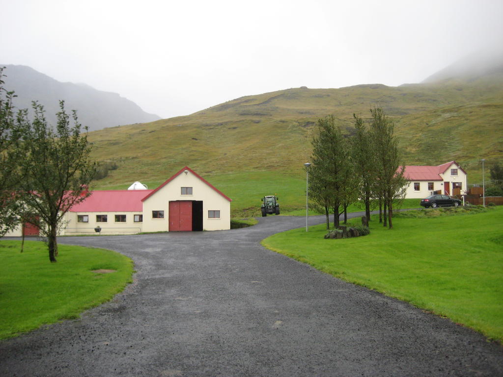 Ásólfsskáli Cottage Exterior foto